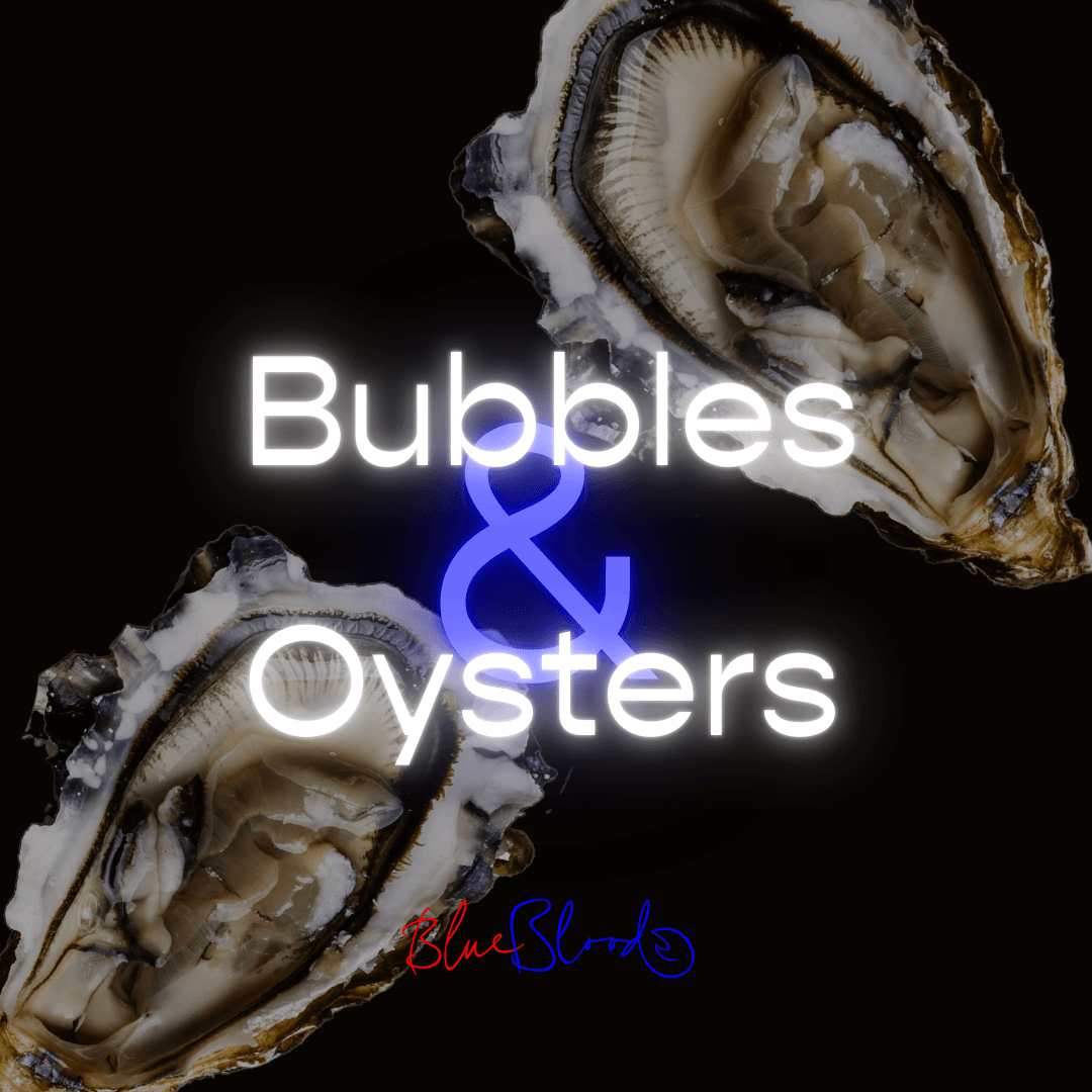optie 2 bubbles oysters agendablok