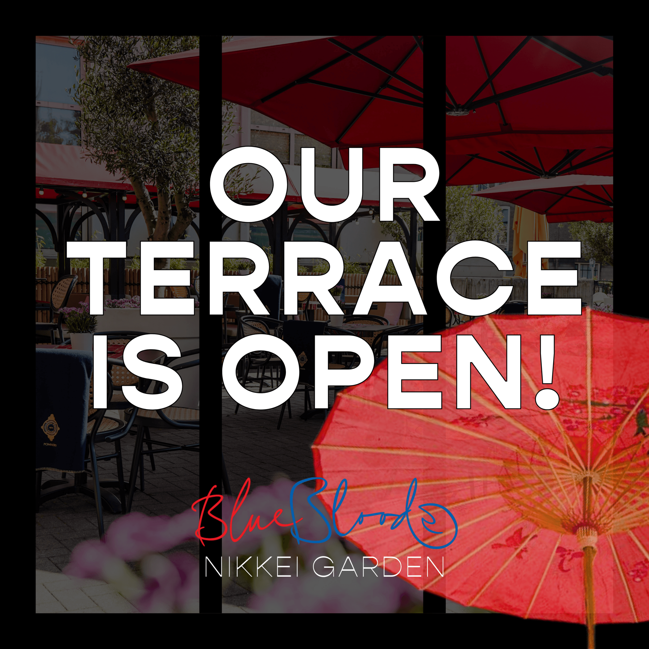 TERRACE OPENING 3 scaled